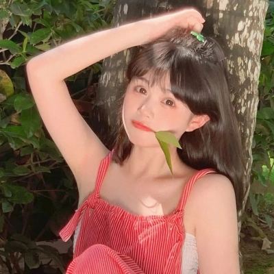 城堡超星内购破解版下载